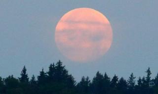 血月代表什么预兆? 血月代表什么预兆?