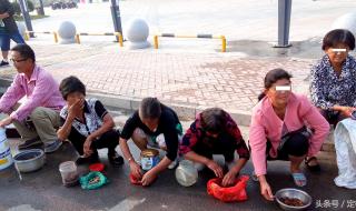 知了猴价格 知了猴价格