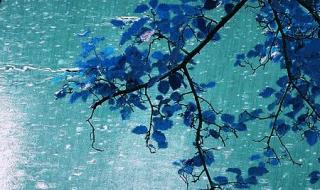 新年快乐图片漂亮 新年快乐图片漂亮